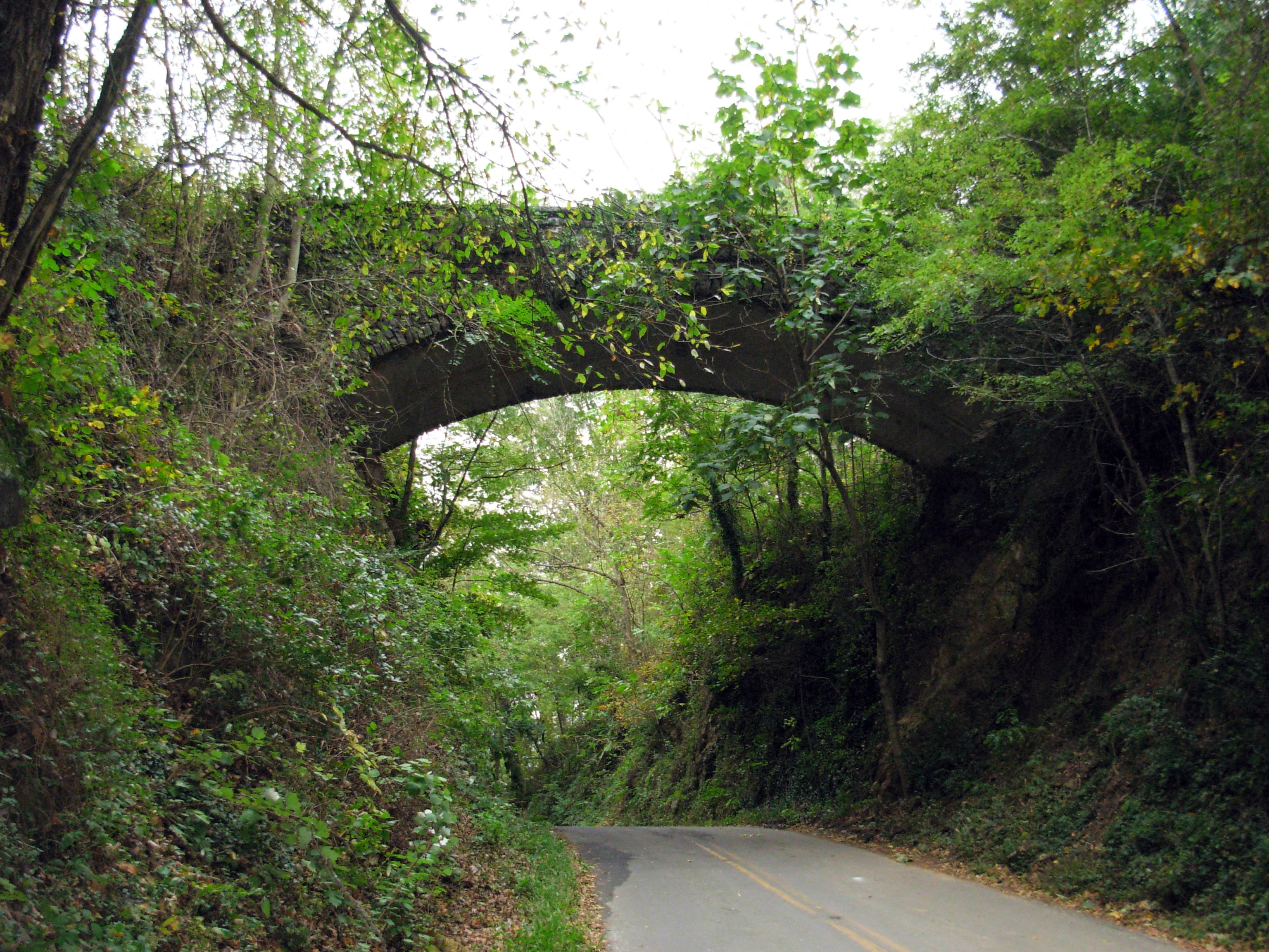 Image result for asheville roads