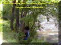 Lamonster and Dragbars enjoy a stop by creek 1.JPG (66423 bytes)
