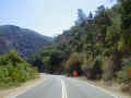 Yosemite ride 1.JPG (55030 bytes)
