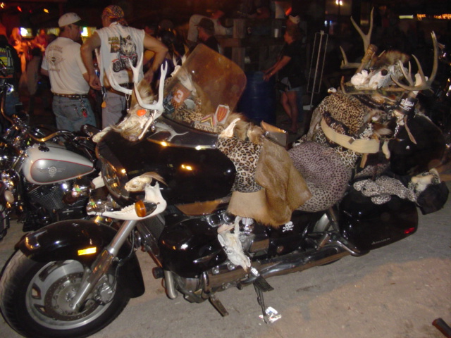 The kind of crazy shit you see at bike week!