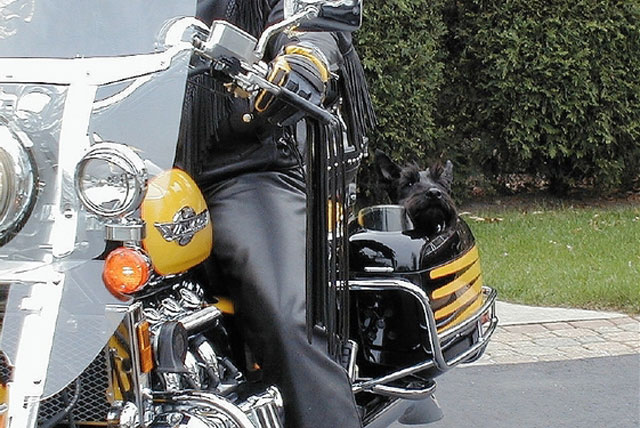 March 23, 2008 Pic of Week