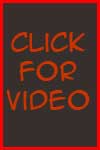 November 02, 2008 Vid of Week