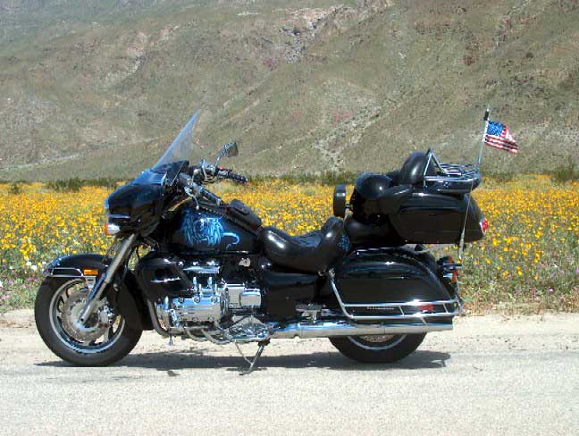 Valkyrie Riders Cruiser Club
